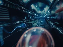 Rennen hat ernsten Hintergrund: Tech-Bros veranstalten Spermien-Wettbewerb